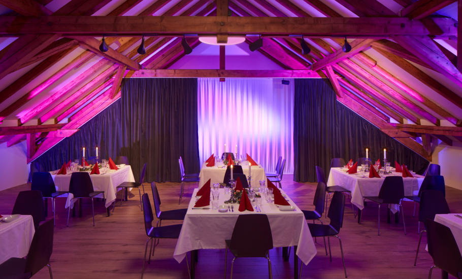 saal_fest_violet_slider.jpg saal_fest_violet_slider.jpg