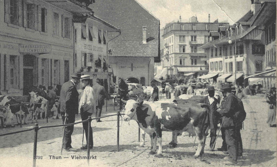 viehmarkt_slider.jpg viehmarkt_slider.jpg